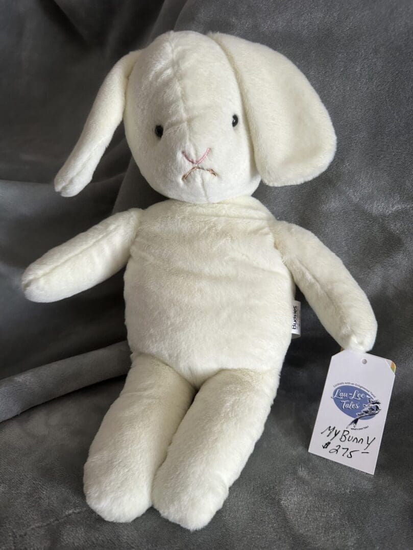 MyBunny1-20260721163041